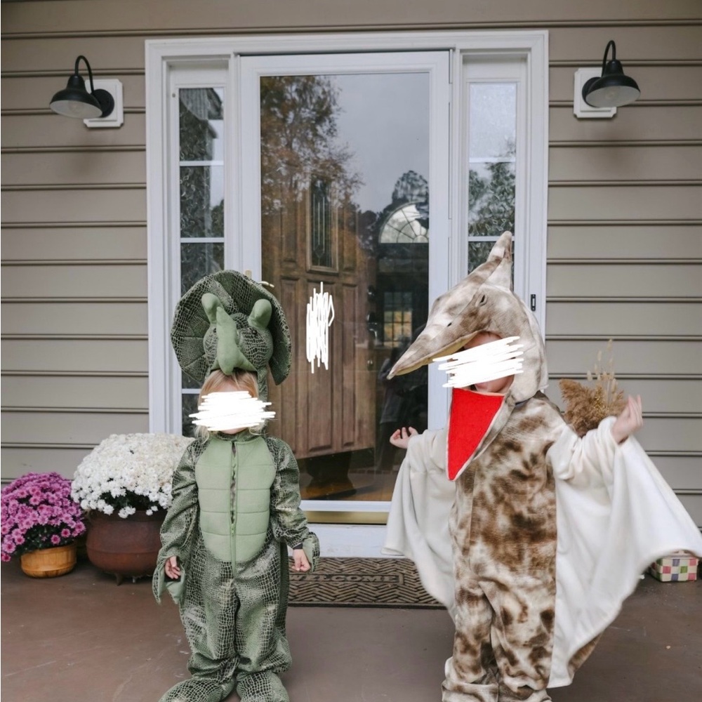Kids Dinosaur Costume Set - Green and Brown